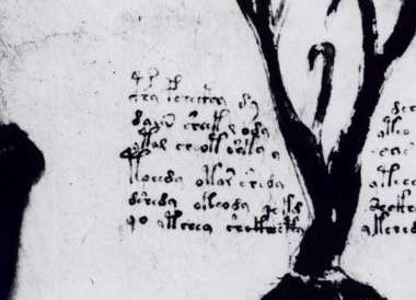 Image from Voynich Manuscript